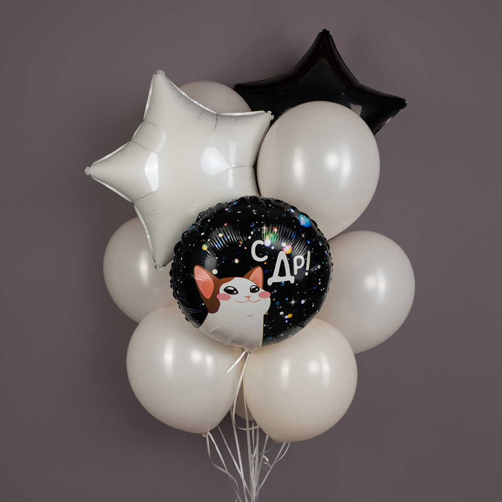 Облако из шаров С ДР Котик 7в1 13489 АП25-0230
